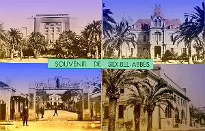 Sidi-bel-abbes 537- Souvenir